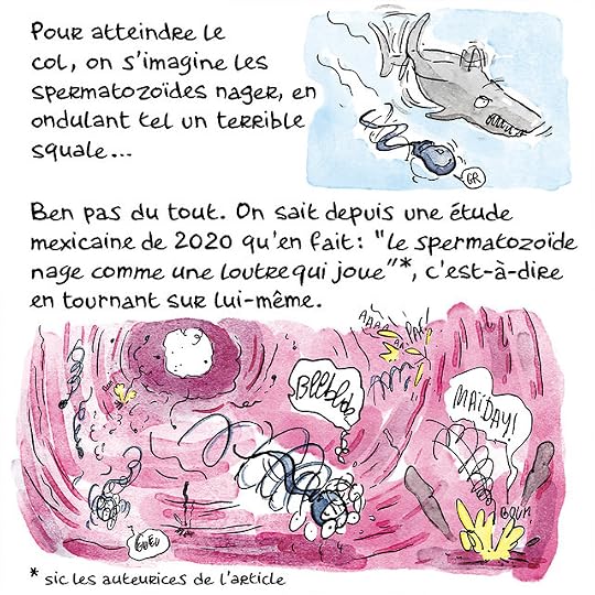 Ovule-couleurs-Pierre_37 copie