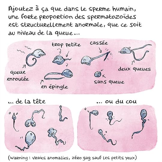 Ovule-couleurs-Pierre_38 copie