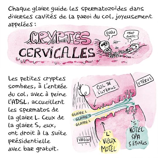 Ovule-couleurs-Pierre_44 copie