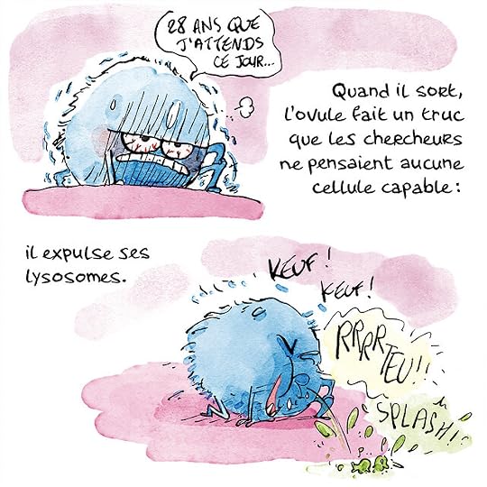 Ovule-couleurs-Pierre_47 copie
