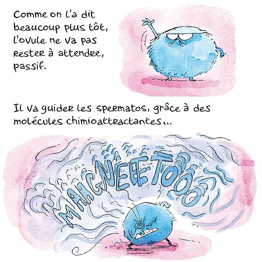 Ovule-couleurs-Pierre_50 copie
