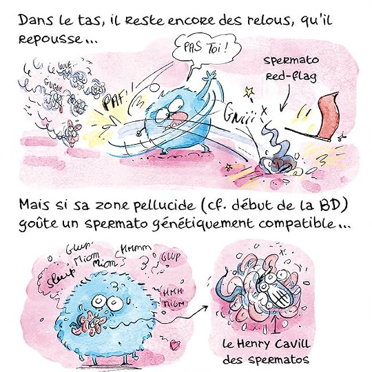 Ovule-couleurs-Pierre_51 copie