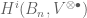 H^i(B_n, V^{\otimes \bullet})