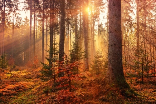 10 Important Things We All Wait Too Long to Do for Ourselves