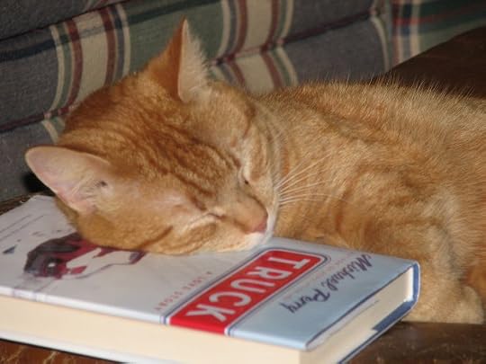 Photos of Pets Enjoying Mike's Work