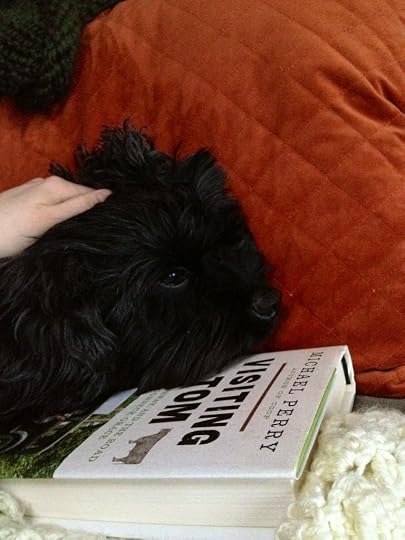 Photos of Pets Enjoying Mike's Work