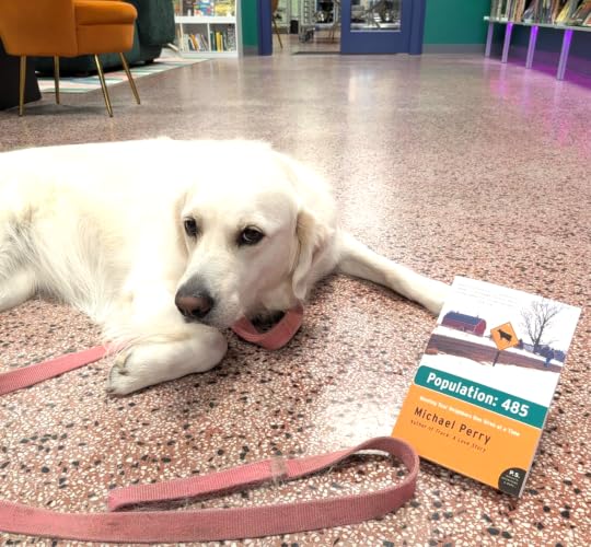 Photos of Pets Enjoying Mike's Work