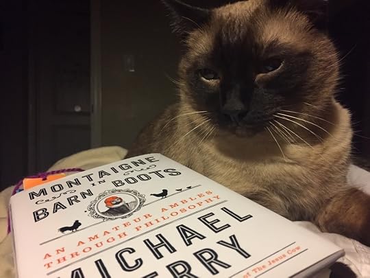 Photos of Pets Enjoying Mike's Work