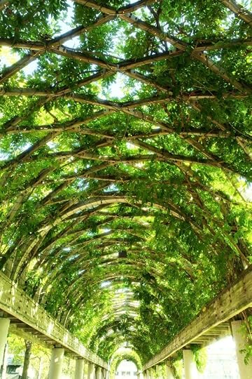 A cathedral is a sacred place. Religions build them. Unofficially, too, you may have chosen a beautiful place in nature which you feel is your kind of cathedral.