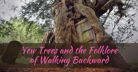 Yew Trees and the Folklore of Walking Backward