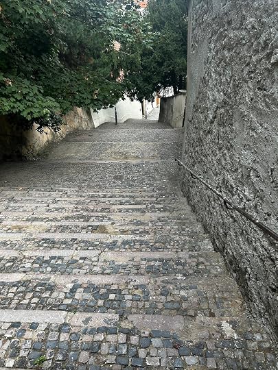 IMG_4824.jpeg