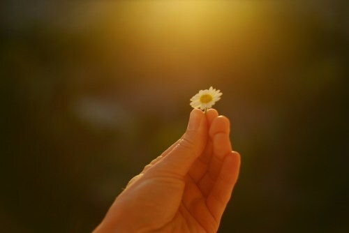 25 Fundamental Ways to Stop Complicating Your Life