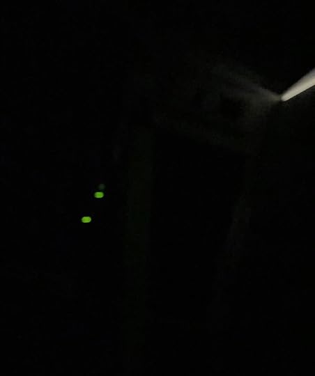 A black space, with nothing to be seen at all. Except, two green dots and a short strip of dull white light high up.