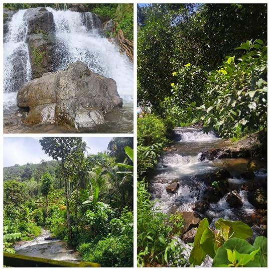 Pathanamthitta - Manneera Waterfall