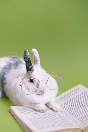 Bunny with glasses is reading a joke book.