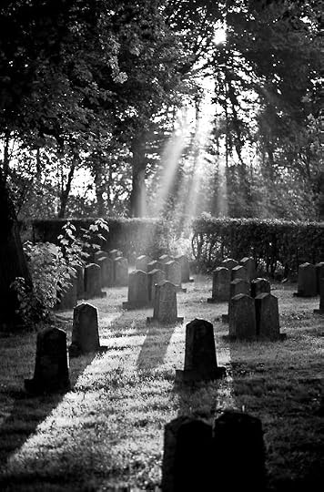 This may contain: the sun shines through the trees over an old grave yard with many headstones