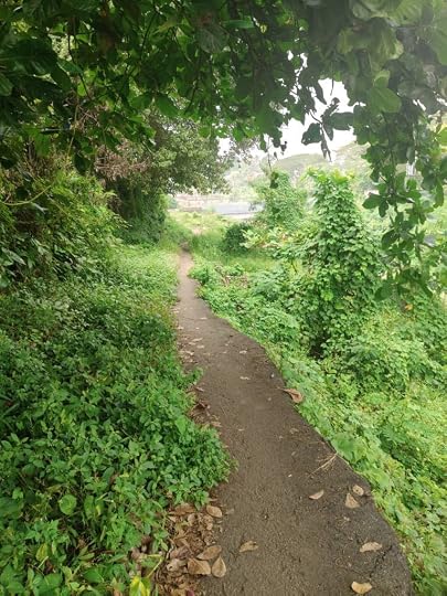 A tryst with the wilderness - Glimpses from Kottayam