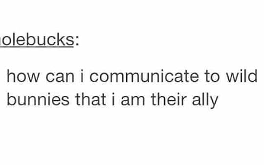 description