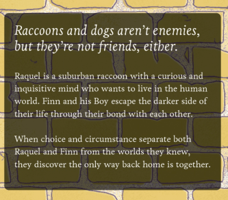 Synopsis of the book Raquel & Finn