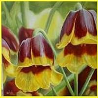 Women's Murder Club Books In Order (21 Book Series - Foto 13