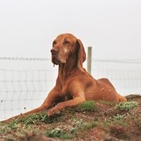Profile Image for Sebbastian Dangerfield.