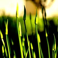 Profile Image for Patrick.