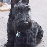 Profile Image for Eric.