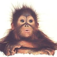 Profile Image for Emily O'malley.