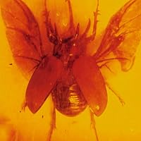 Profile Image for JP.