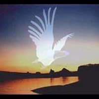 Profile Image for Joel Morris.