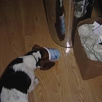 Profile Image for Nadia.