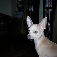Profile Image for Cynthia.