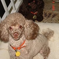 Profile Image for Marjorie.harris.