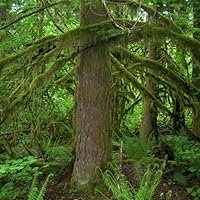 Profile Image for Shannon.