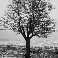 Profile Image for Merek.