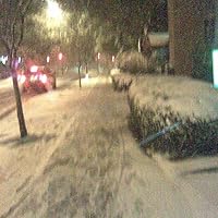 Profile Image for Carsten.