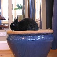 Profile Image for Jen.