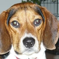 Profile Image for Miesha Marzell.