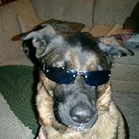 Profile Image for Dara.