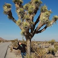 Profile Image for Andrea.