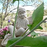 Profile Image for Maryann.