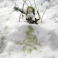 Profile Image for Annamarie.