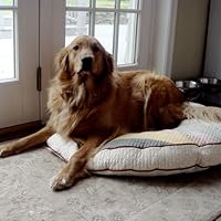 Profile Image for Maria.