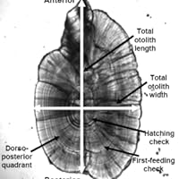 Profile Image for Eric.