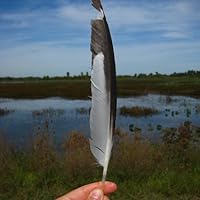 Profile Image for Megan.