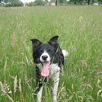 Profile Image for A.C.