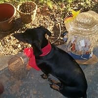 Profile Image for Josephine.