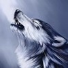 Profile Image for Aleš C..