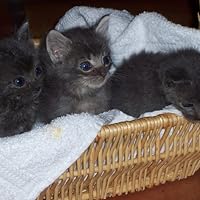 Profile Image for J.