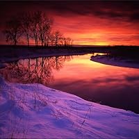 Profile Image for Connie.